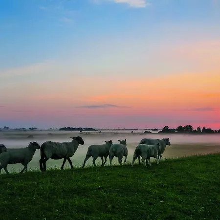 Gud Jard Nr 31 - Design-ferienhaus Mit Exklusiver Ausstattung *