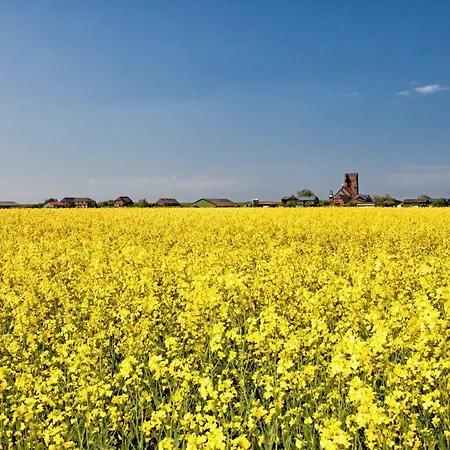 Gud Jard Nr 31 - Design-ferienhaus Mit Exklusiver Ausstattung בית נופש