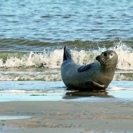 Gud Jard Nr 31 - Design-ferienhaus Mit Exklusiver Ausstattung פלוורם